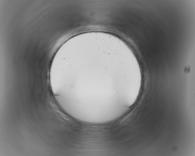 X0000112841365200910021057