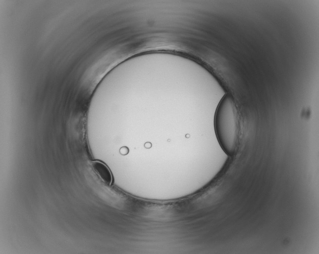 X0000112841369200910021057