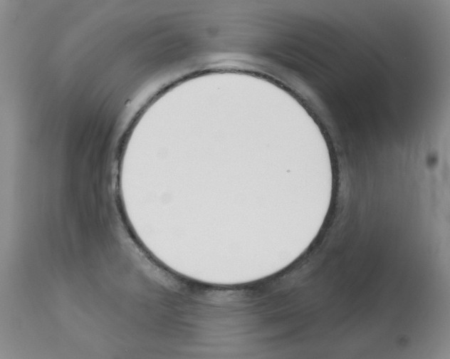 X0000112841376200910021057