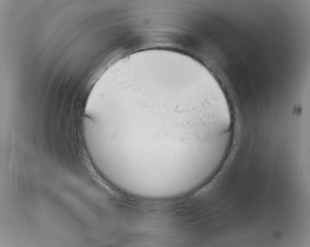 X0000112841377200910021057