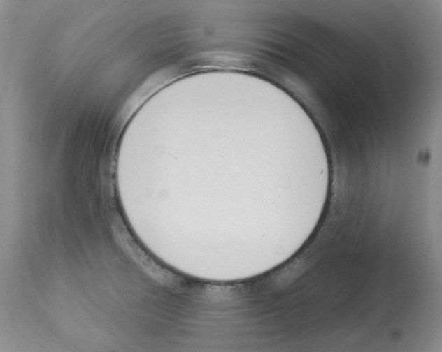 X0000112841378200910021057