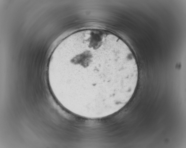 X0000112841379200910021057