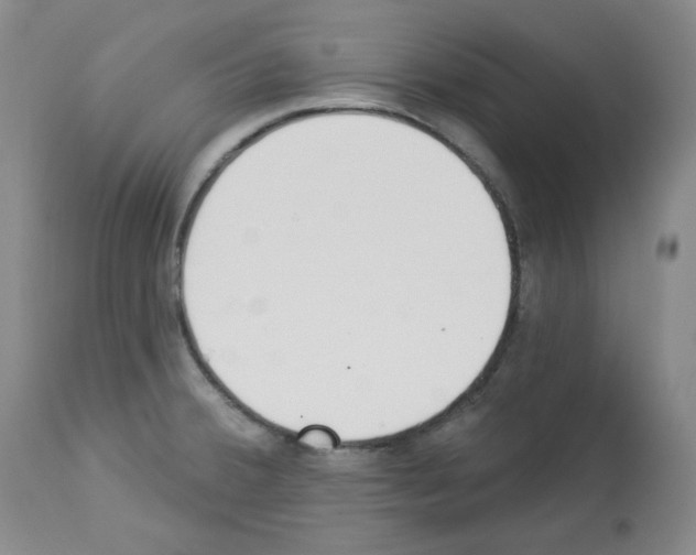 X0000112841380200910021057