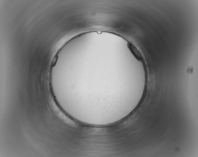 X0000112841381200910021057