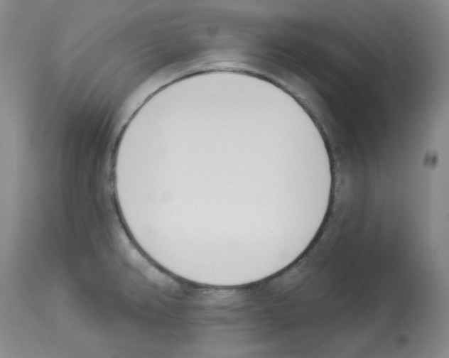 X0000112841382200910021057