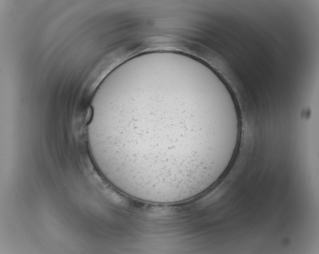 X0000112841385200910021057