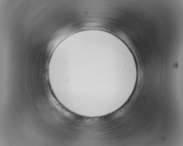 X0000112841386200910021057