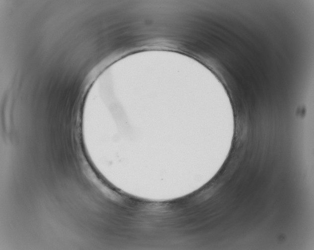 X0000112841387200910021057