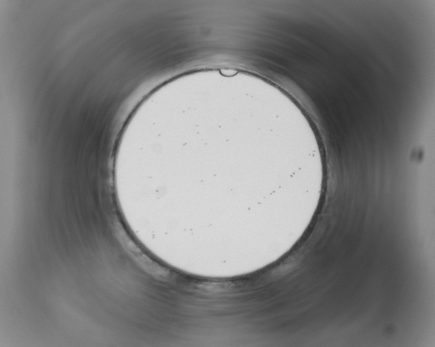 X0000112841388200910021057