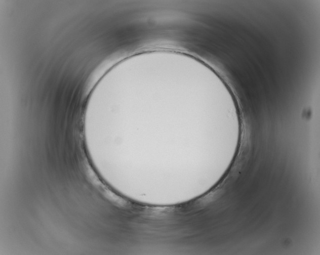 X0000112841390200910021057