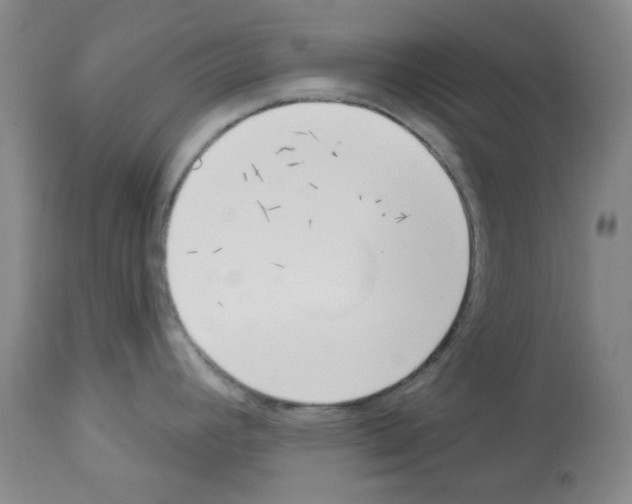 X0000112841392200910021057