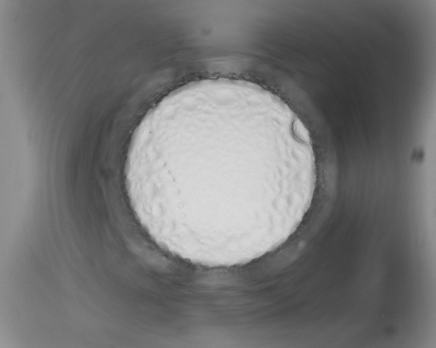 X0000112841393200910021056