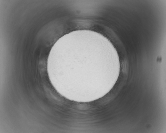 X0000112841395200910021056