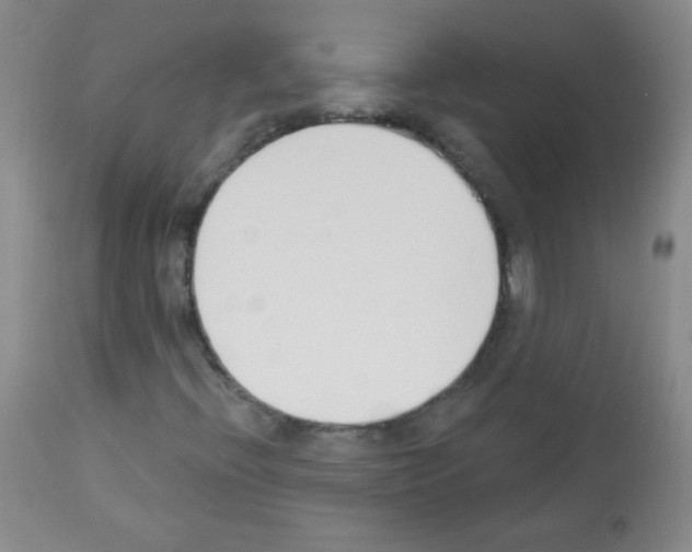 X0000112841396200910021056