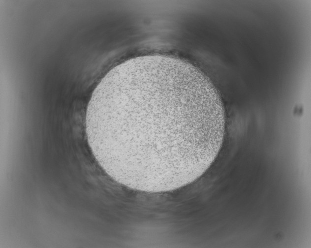 X0000112841397200910021056