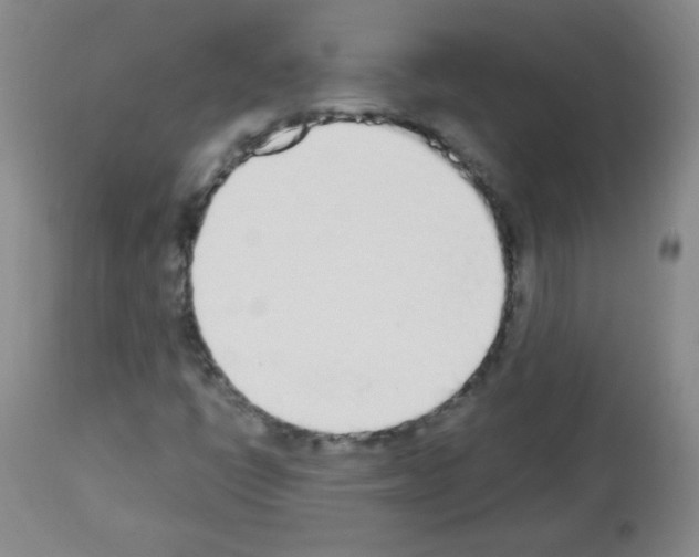 X0000112841398200910021056