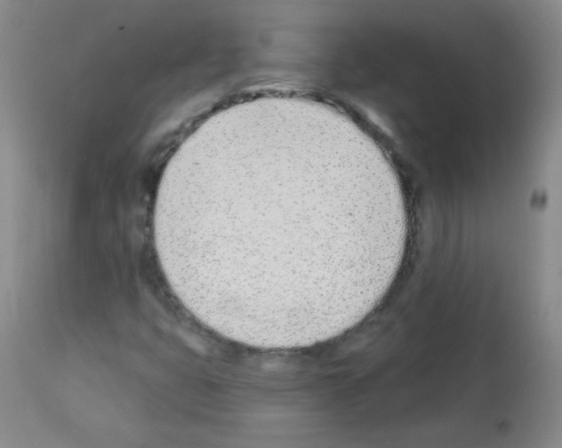 X0000112841399200910021056