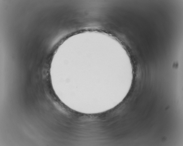 X0000112841400200910021056