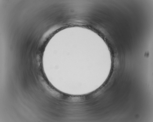 X0000112841402200910021056