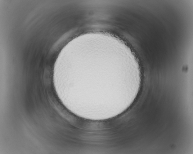 X0000112841403200910021056