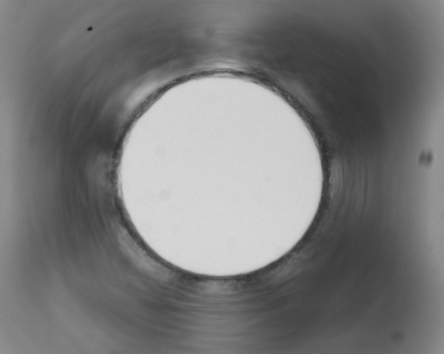 X0000112841404200910021056