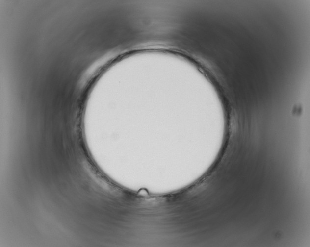 X0000112841406200910021056