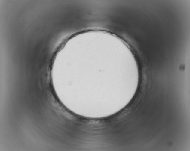 X0000112841408200910021056