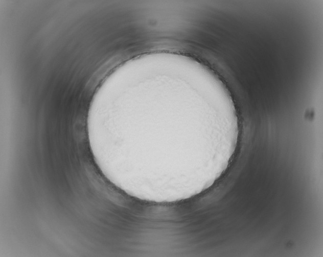 X0000112841409200910021056