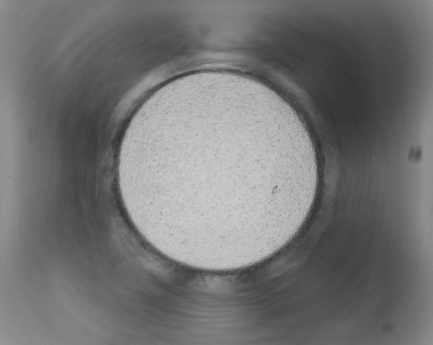 X0000112841411200910021056