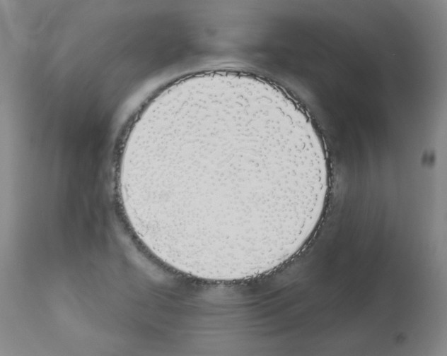 X0000112841414200910021056