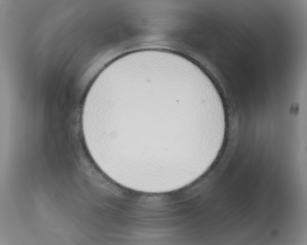 X0000112841415200910021056