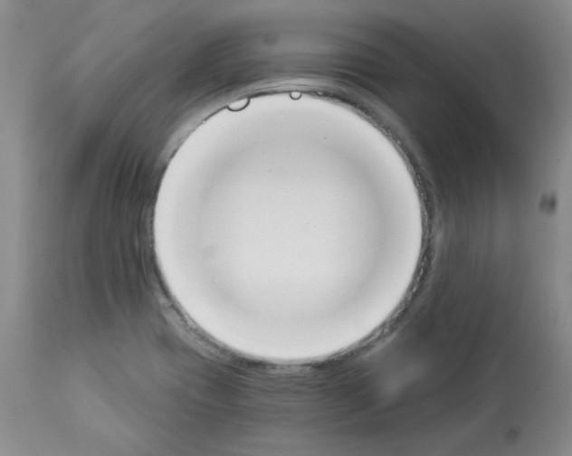 X0000112841417200910021056