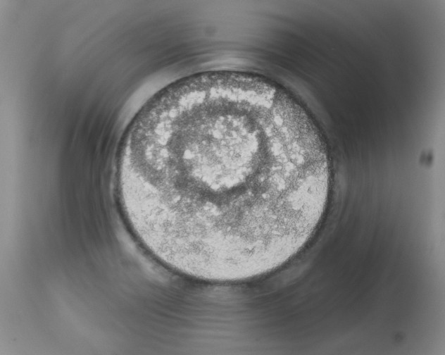 X0000112841418200910021056