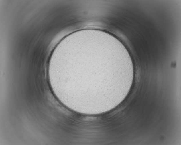 X0000112841419200910021056