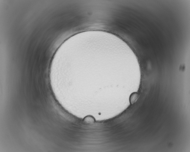 X0000112841423200910021056