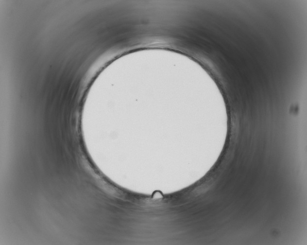 X0000112841424200910021056