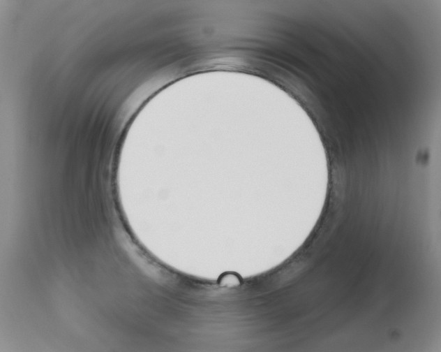 X0000112841426200910021056