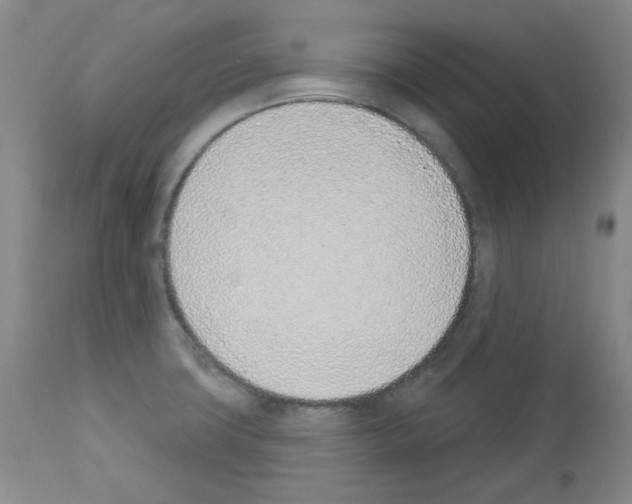 X0000112841427200910021056