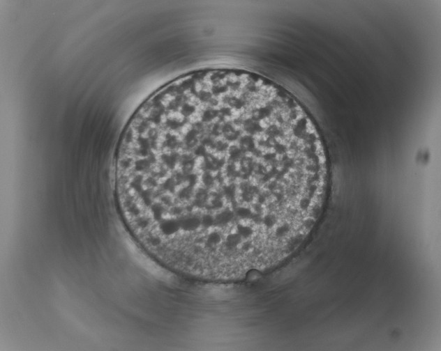 X0000112841428200910021056