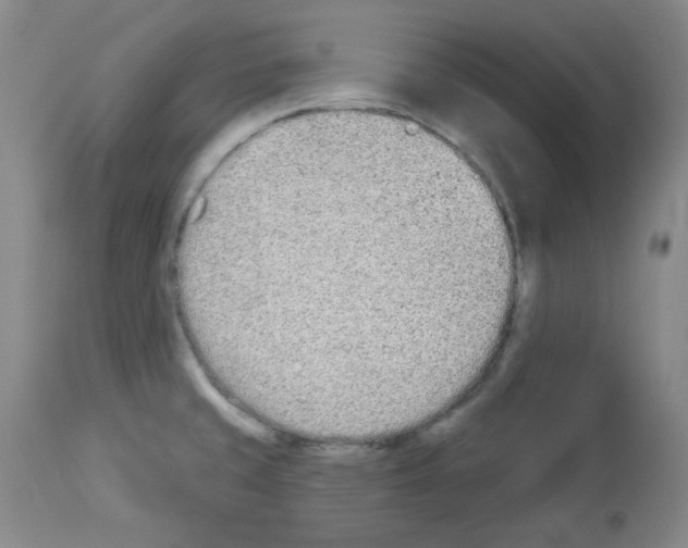 X0000112841429200910021056