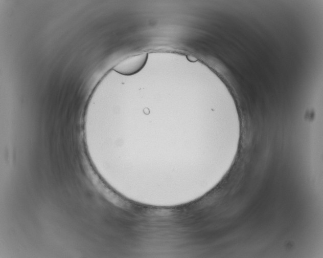 X0000112841431200910021057