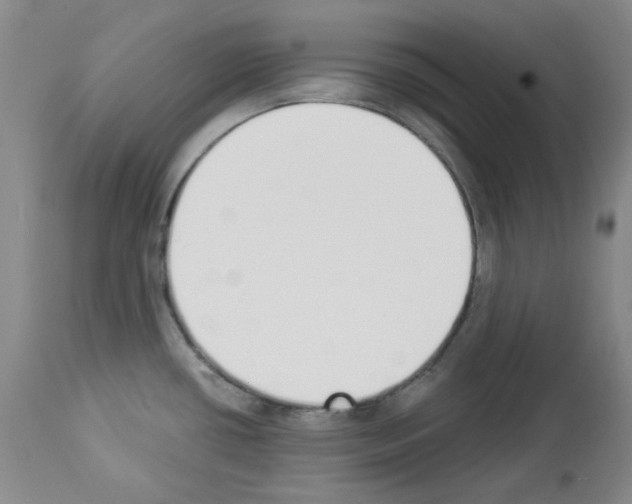 X0000112841434200910021057