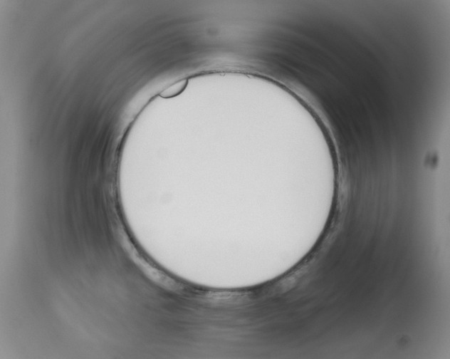 X0000112841437200910021057