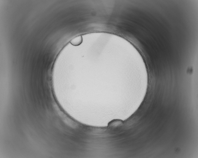 X0000112841439200910021057