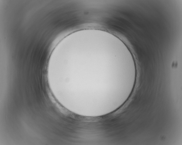 X0000112841440200910021057