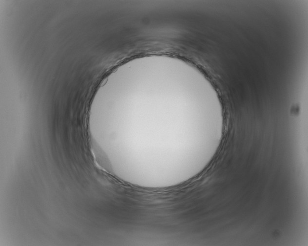 X0000112841441200910021056