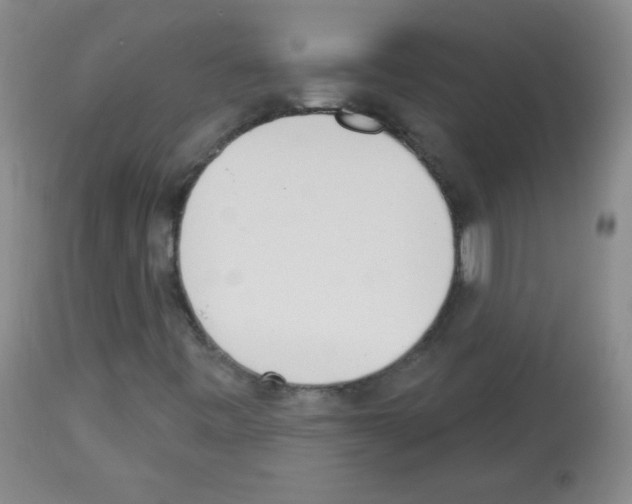 X0000112841443200910021056