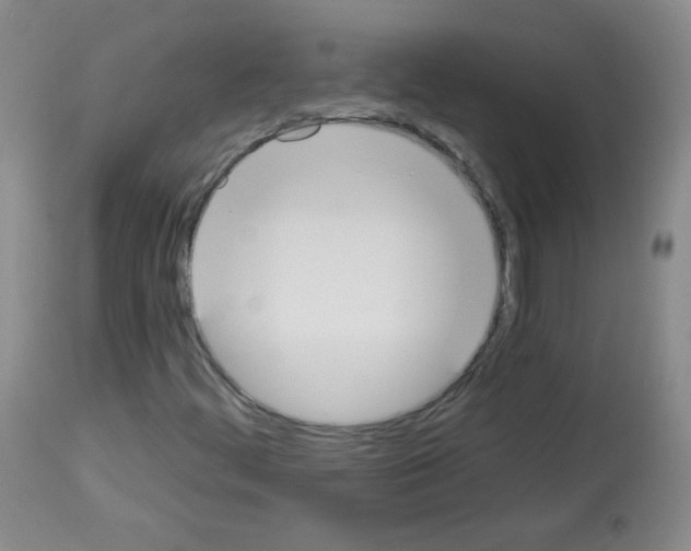 X0000112841444200910021056