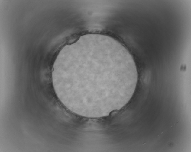 X0000112841445200910021056