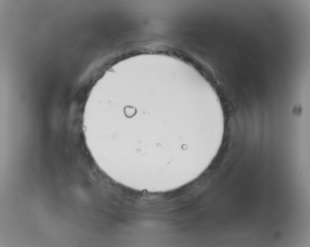 X0000112841447200910021056